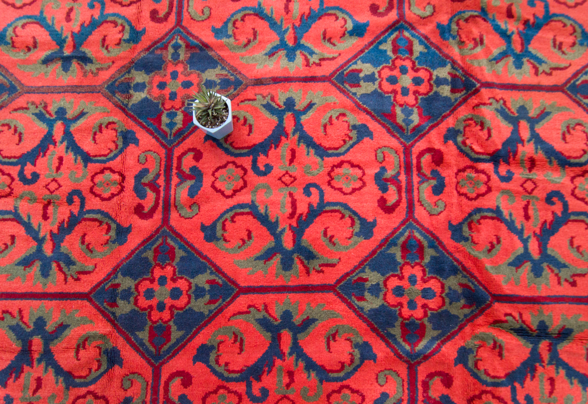 Antique Irish Rug House of Séance